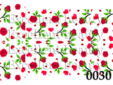 0030