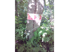 IMG 20150606 171135.jpg