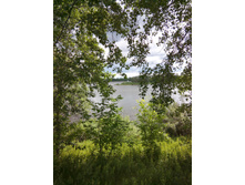 IMG 20150606 110533.jpg