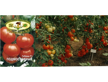 ������������ 20 ���..jpg