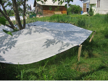 ������������  350�