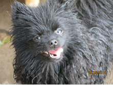 ����� 012.JPG