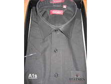 �������:A1s