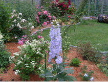 ��������� ��������� � ������