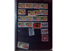 IMG 20150630 200609.jpg