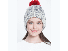 Remi-FW14C ����� �������� ����.GIF