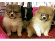 ������ 025.JPG