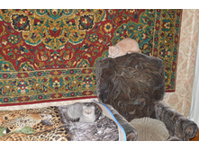 ���� � ������