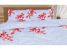 �-00118-01 ���������.jpg