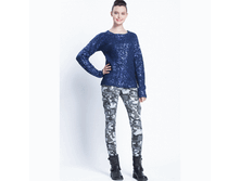 SPARKLE-FW13C �.������� �������.GIF
