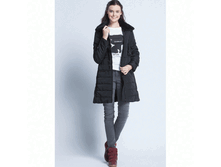 Ginger-FW14C ������ ������ ����..GIF