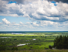  DSC2013.jpg