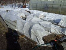 �������� 29.03.2015 031.jpg