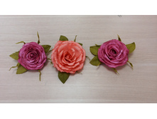 IMG 20150618 145117.jpg