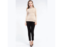 BASIC-FW13C ������� �������.GIF