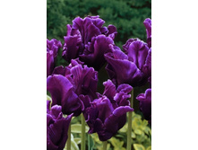 �������� ������ 154�.jpg