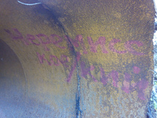 IMG 20150606 141728.jpg