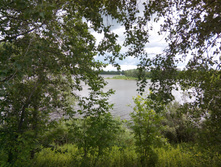 IMG 20150606 110554.jpg