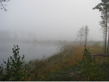 IMG 8666.JPG