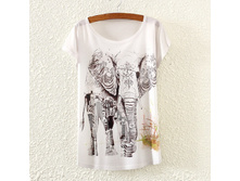 �������� �/� ���� 590 ���.