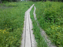 IMG 20150613 142501.jpg