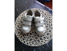 ������� ���� ��������� �������� 31� 500�