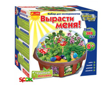 ���� ���-��� (������� ����) ������ ������