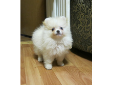 ������ 028.JPG