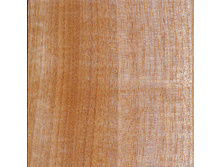 ������ �����������