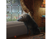 11035618 860833414005693 3723738580199817229 n.jpg