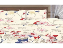 �-00112-01 �����.jpg