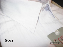 �������:S0011