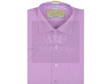 Begonia-k-slim.  343,20���.