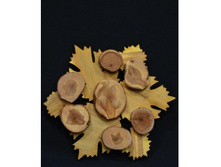 �������� ��������� �� ������ ���� 126 ���