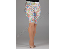 �-1036 108 �����+���� �-� +6 �������.jpg