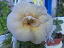 DSC00480.JPG