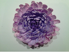 20150609 021139.jpg