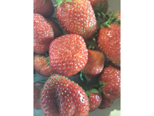 ������ ��������� 2015 ����