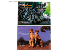 ������ ��� ��������� �4, 24 ����� �� ������� ����� ����� ���� ���.722812 ���� 20,84 ���. ���. 8 ��.jpg