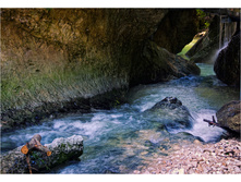 DSC 1201 ���.jpg