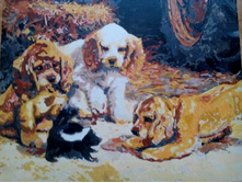 ����� svetl@nk@77