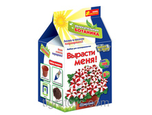 ����� ������� ���� (�������)