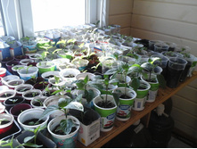 �������� 29.03.2015 044.jpg