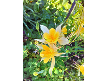 ��������� ������ ��������, 100-150 �.