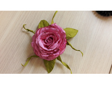 IMG 20150611 144441.jpg