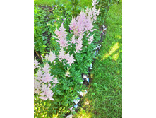 �������� �������� ��� ������� ������, ���������, �� 100 �