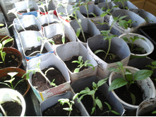 �������� 29.03.2015 043.jpg