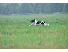 644177 10201701115079098 2107558971 n.jpg