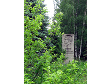 2015-06-01 10-30-07.jpg