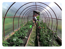 ������ ������� ������.jpg